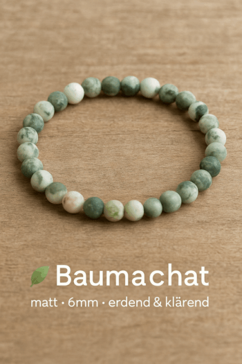 Baumachat_Titelbild.png